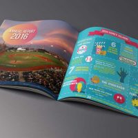 Coney Island Alliance Brochure/Report Design