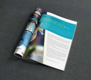 Website and brand design by MOKA Creative