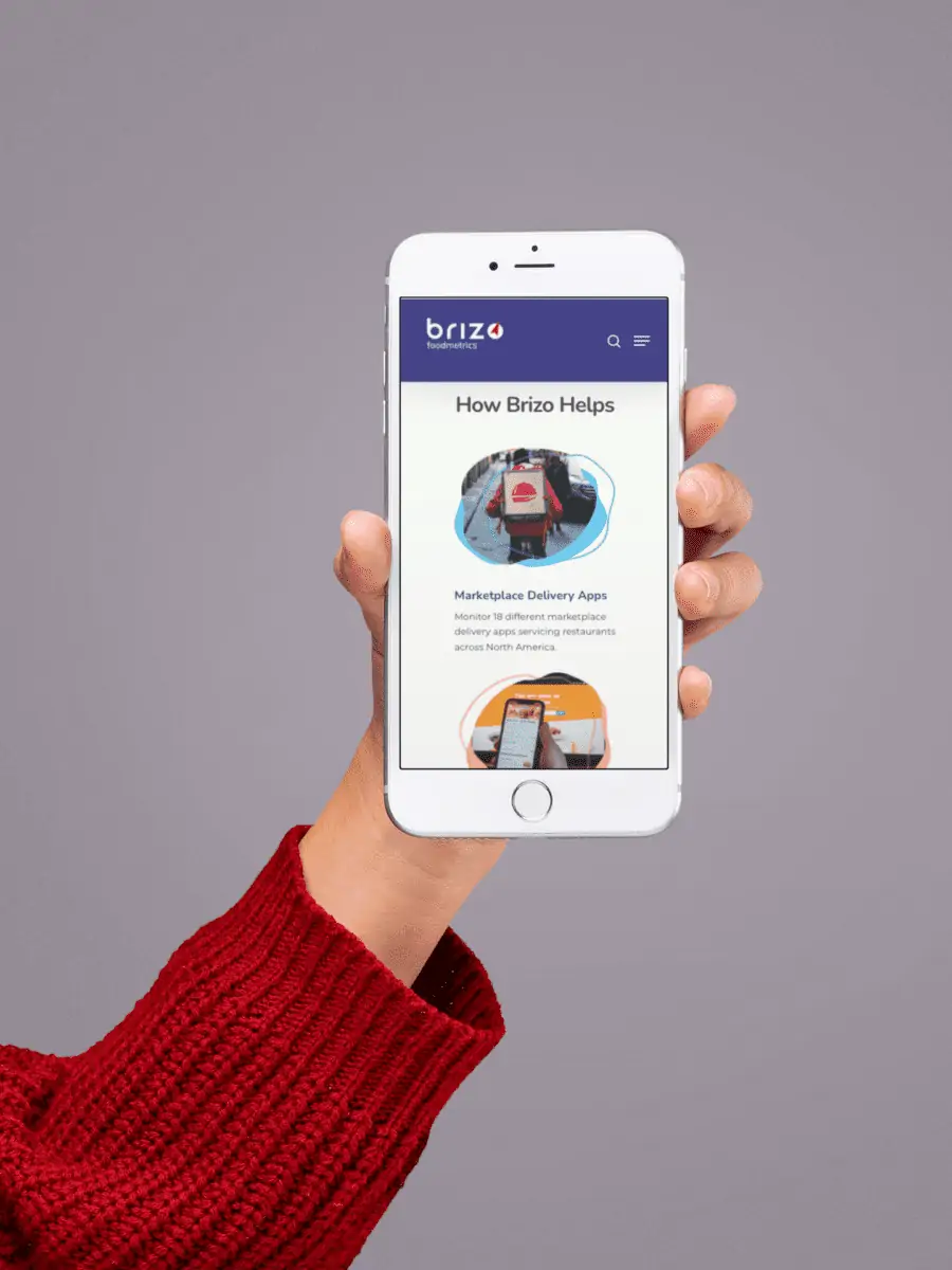 Brizo website and brand design by MOKA Creative